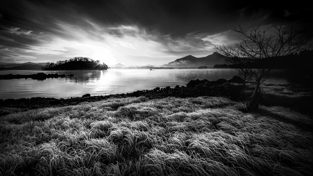 Frosty morning von Takeru Watanabe