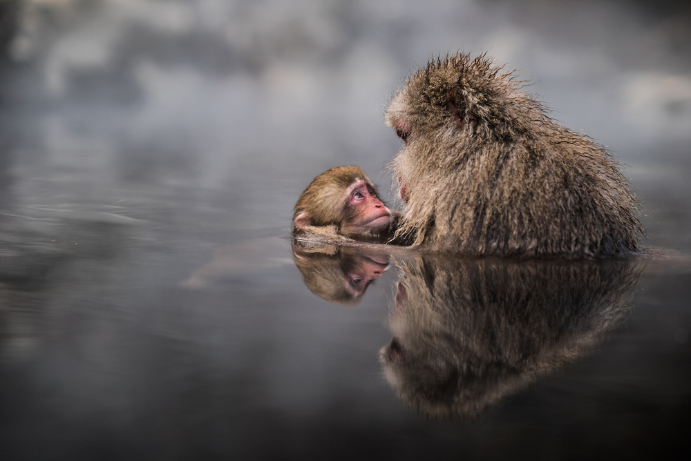 mother-infant bonding von Takeshi Marumoto