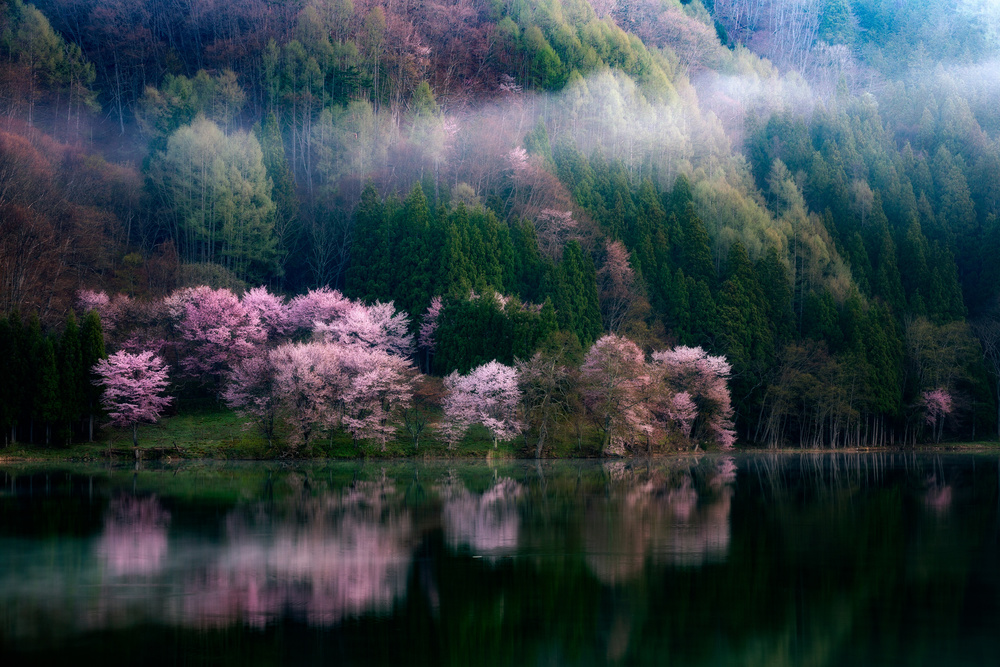 In The Morning Mist von Takeshi Mitamura