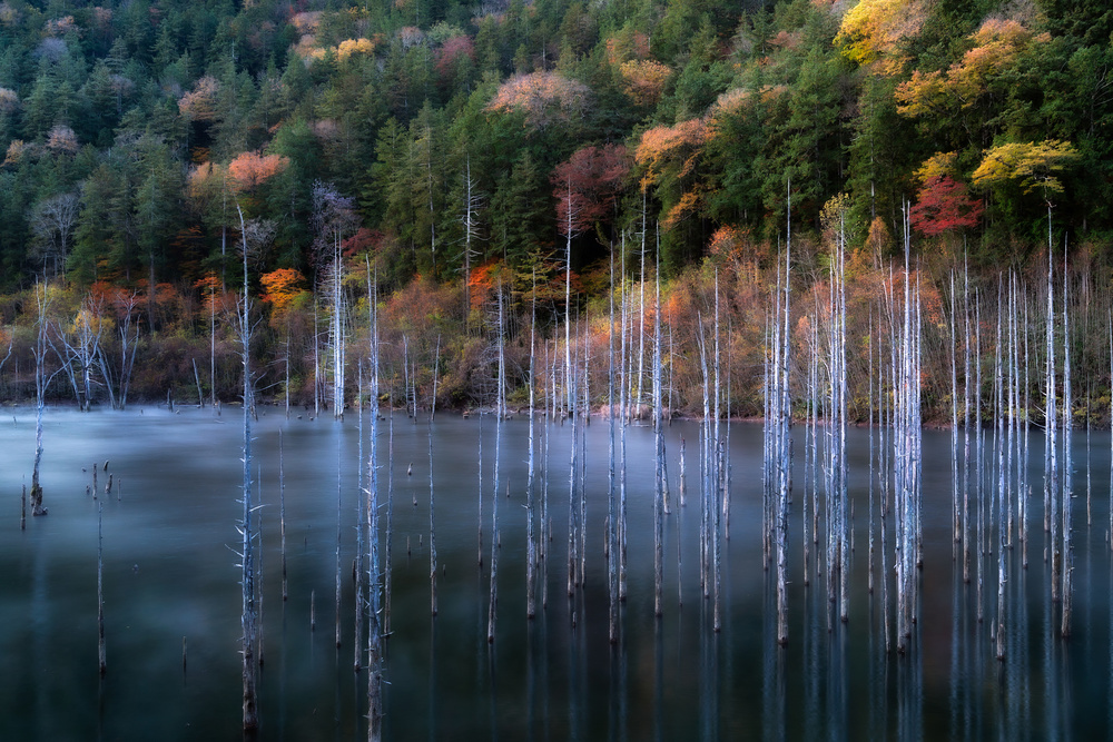 Natural Lake Autumn von Takeshi Mitamura