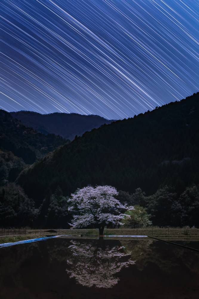 Starry Night von Takeshi Mitamura