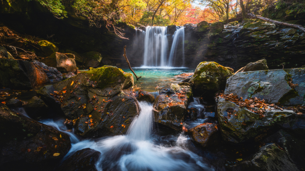 Autumn scene von Takumi Ikeda