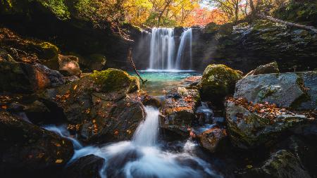 Autumn scene