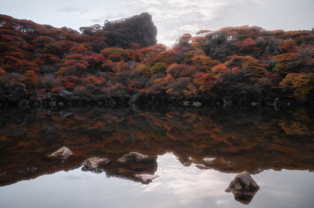 Autumn pond von Takumi Ikeda