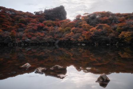 Autumn pond