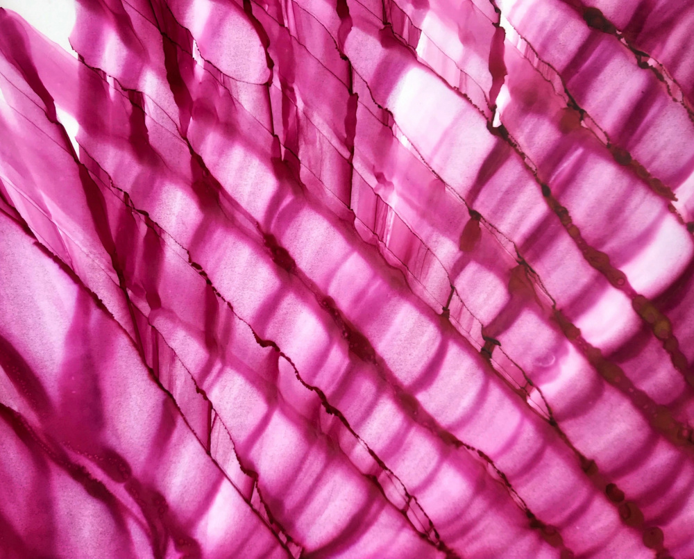 Raspberry Ripple horizontal von Tara Mann