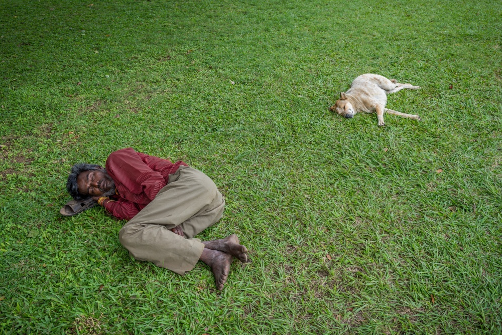 Slumdog von Tarek Zaïgouche