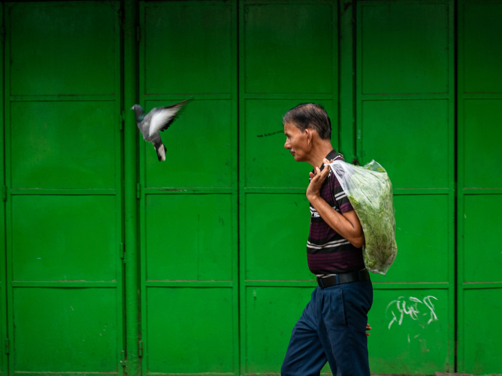 Bird leads the way von Tathagata Ghosh