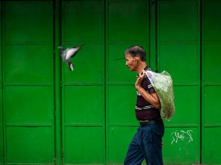 Bird leads the way