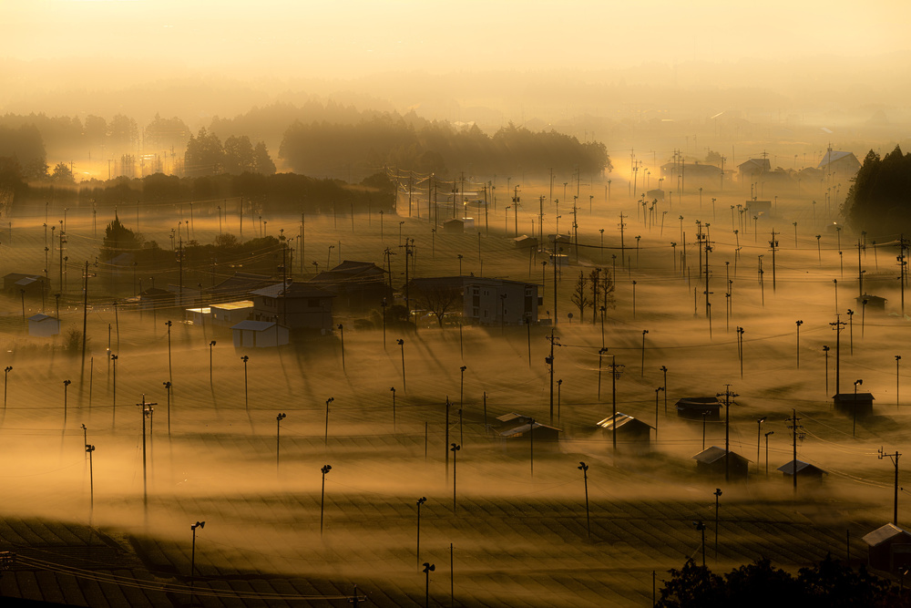 Morning mist von Tatsuki Ito