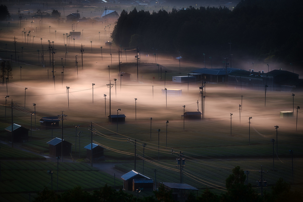 Foggy way von Tatsuki Ito