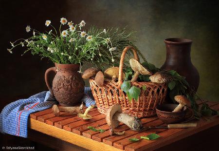 Still life with mushrooms