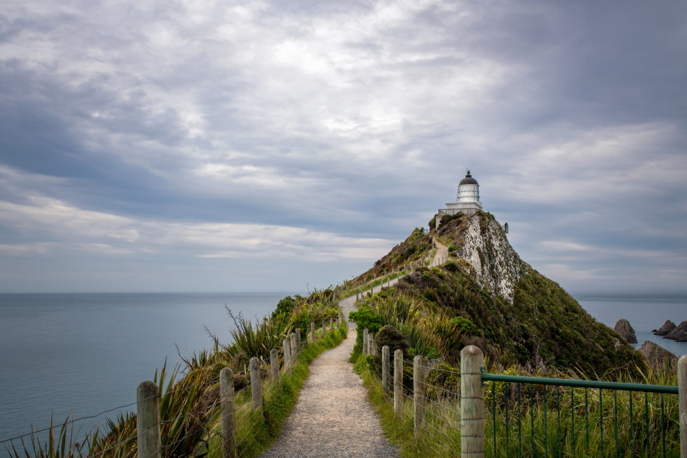 Nugget Point, Catlins, New Zealand von Teodora Motateanu