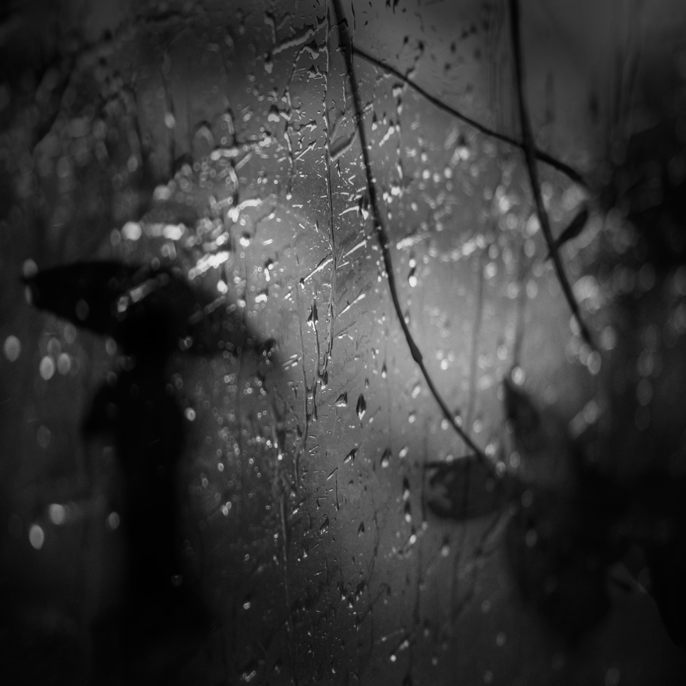 In the rain... von Teruhiko Tsuchida