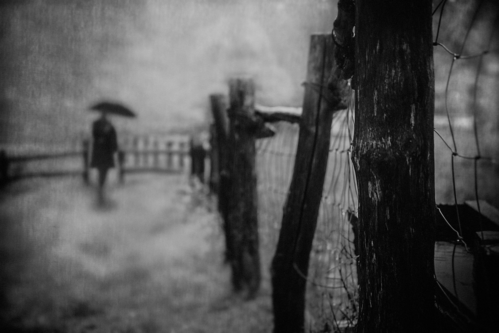 Reunion of rainy day... von Teruhiko Tsuchida