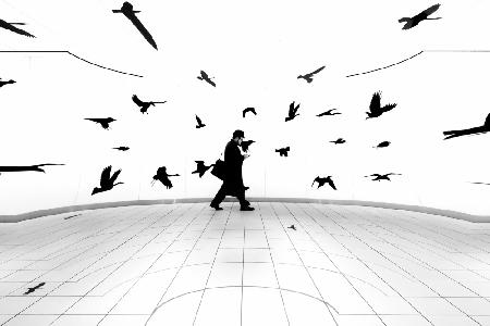 A man and birds