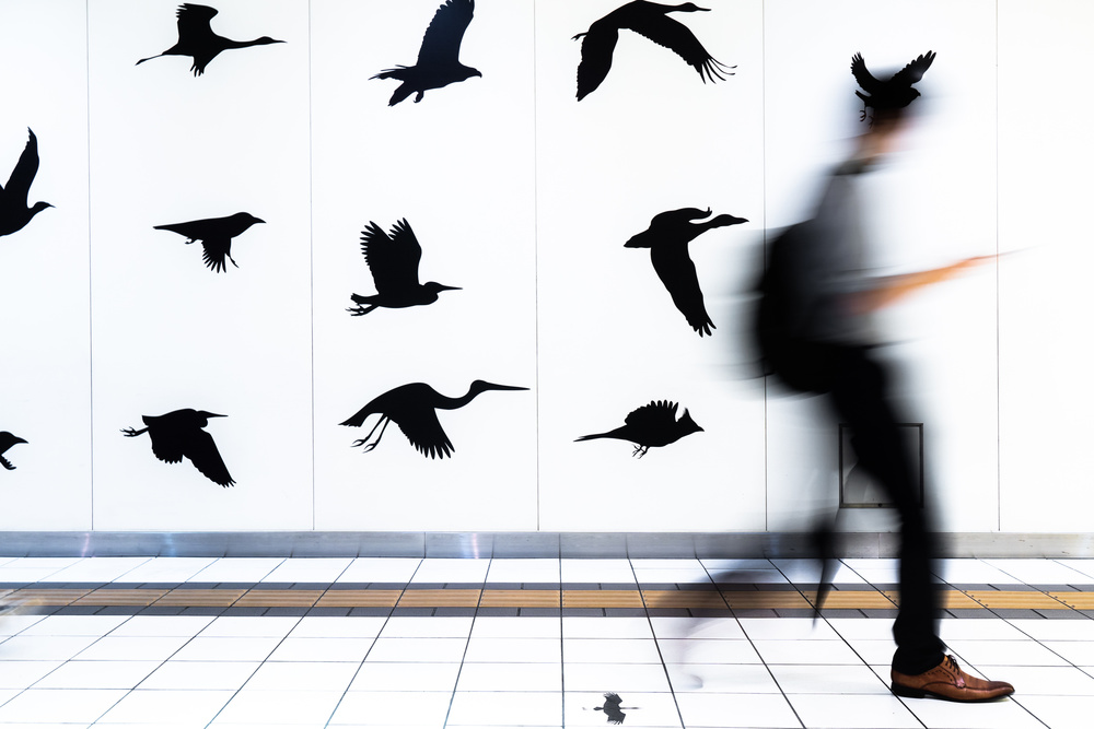 Walking with birds von Tetsuya Hashimoto