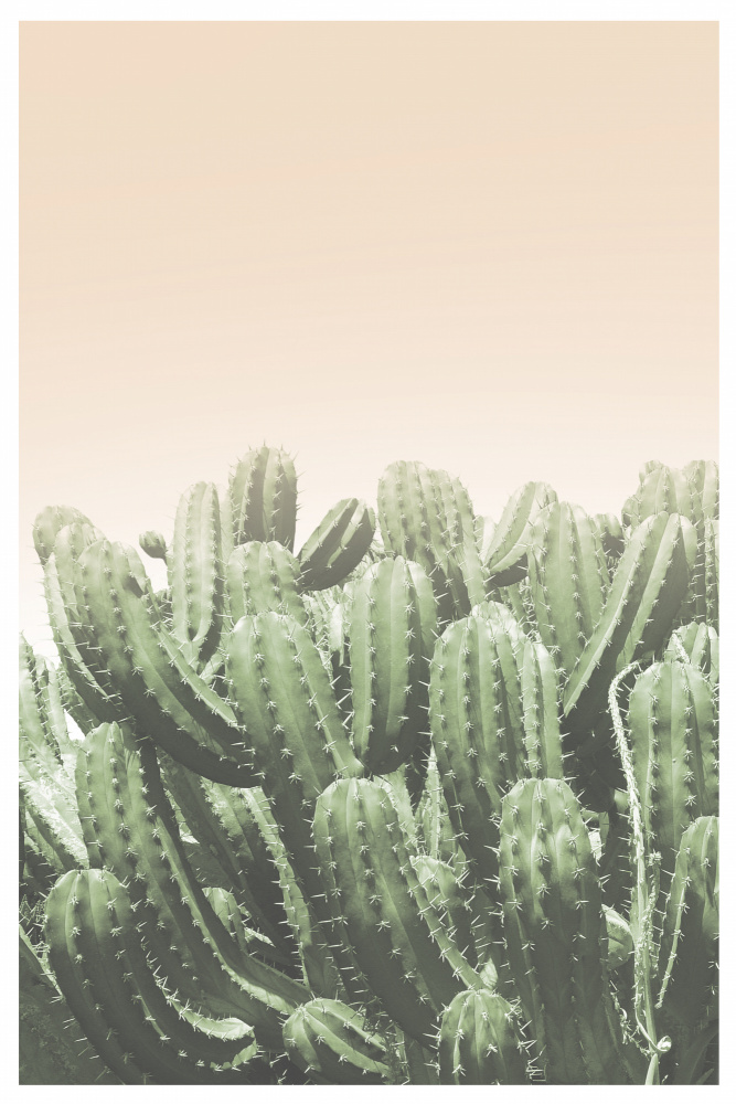 Boho Cactus No.4 von THE MIUUS STUDIO