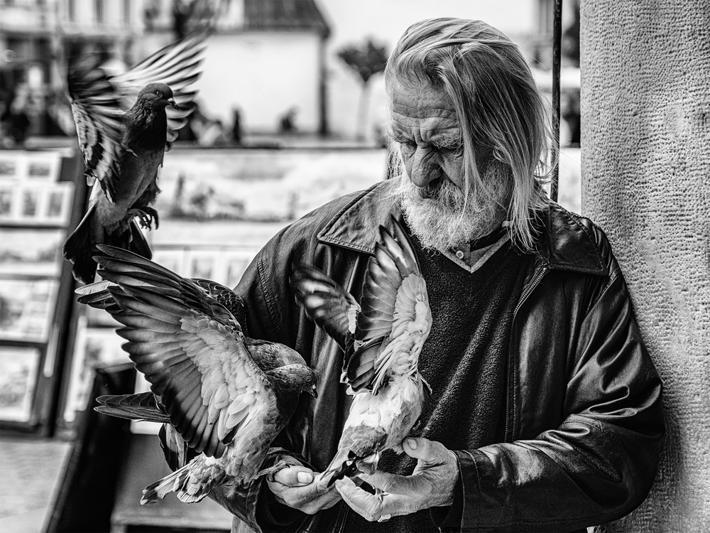 Birdman von Theo Hoofwijk