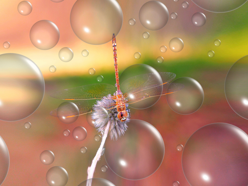 Landing ground... von Thierry Dufour