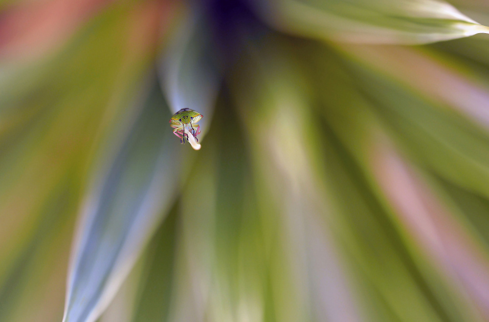 At the speed of light... von Thierry Dufour