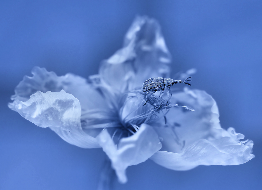 Space station... von Thierry Dufour