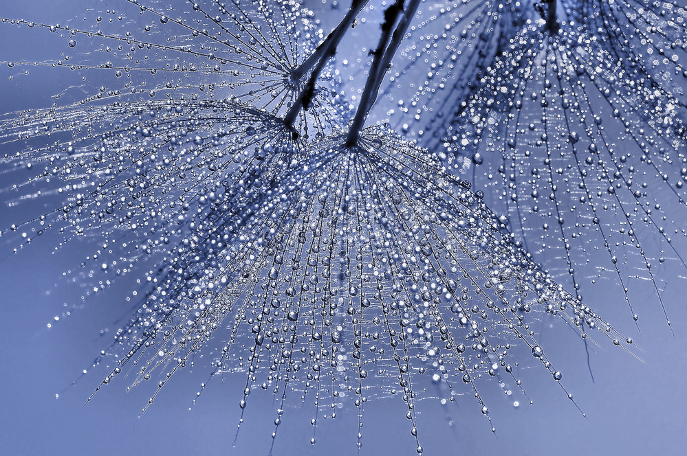 Umbrellas... von Thierry Dufour