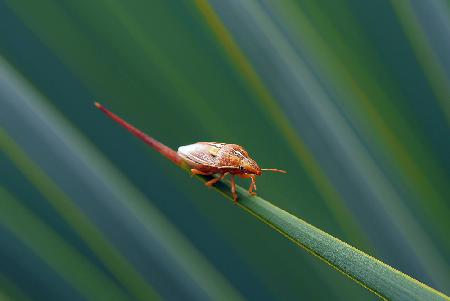 Tightrope walking...