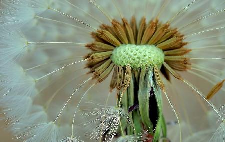 Waiting for the wind...