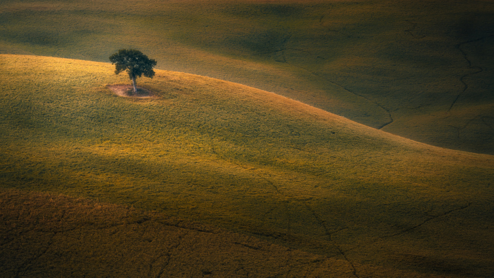 At the Edge of Time von Thomas de Franzoni