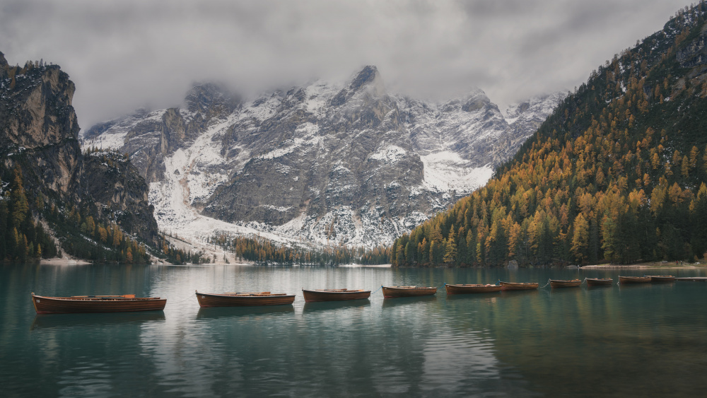 Follow the Leader von Thomas de Franzoni