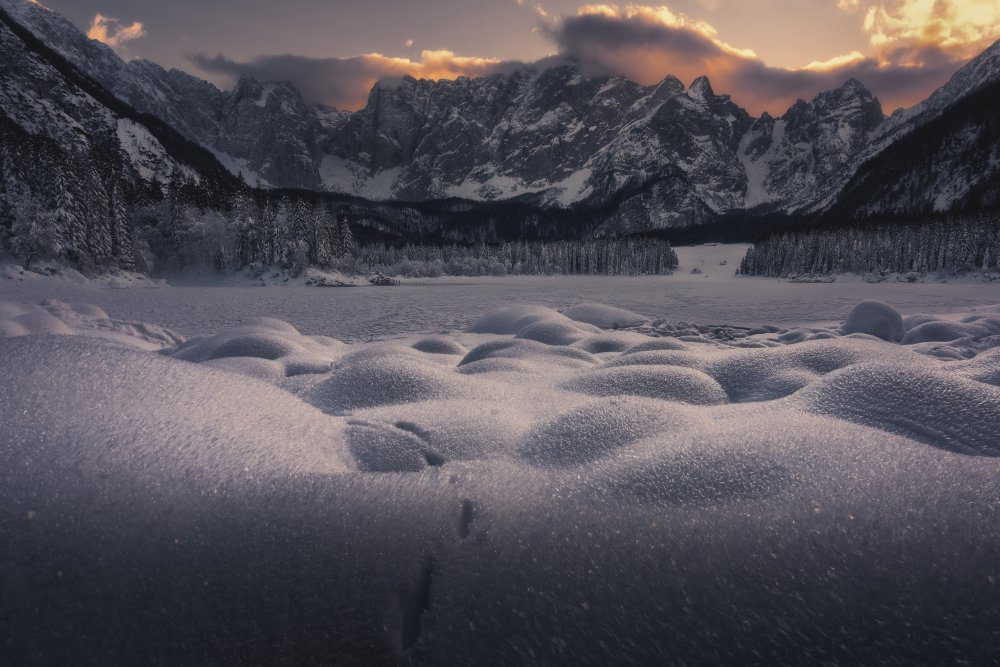 Enjoy the Silence von Thomas de Franzoni