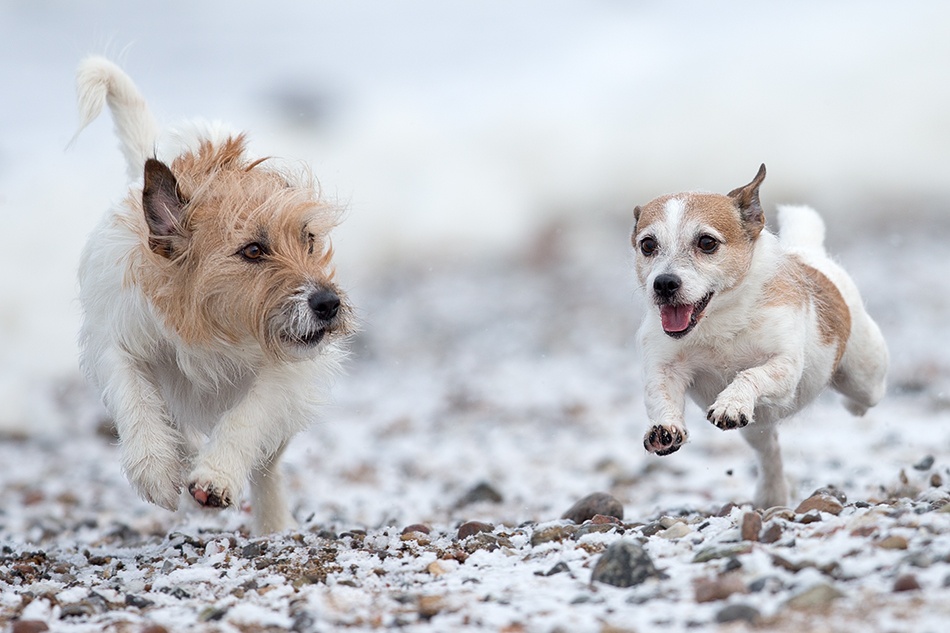 full speed on the beach von Thomas Jensen