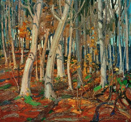 Maple Woods, Bare Trunks, 1916