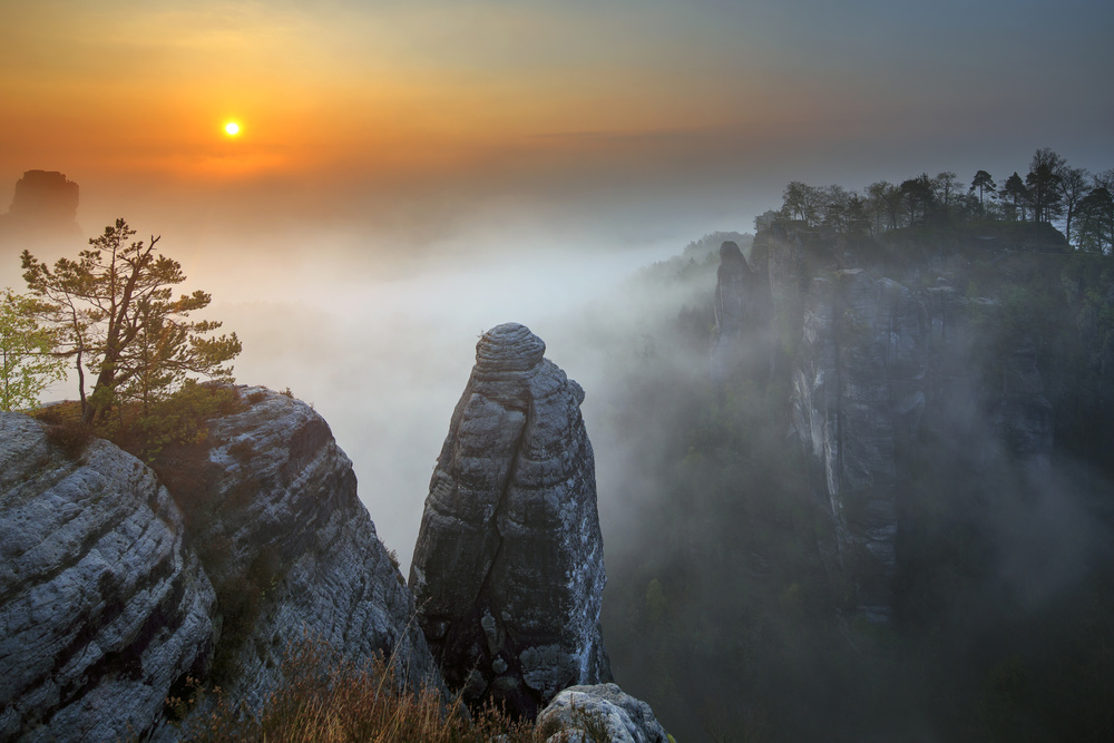 Morning mist von Thomas Siegel