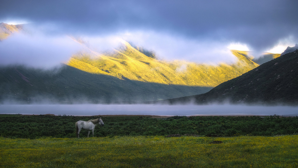 The morning of the lake von TIANQI