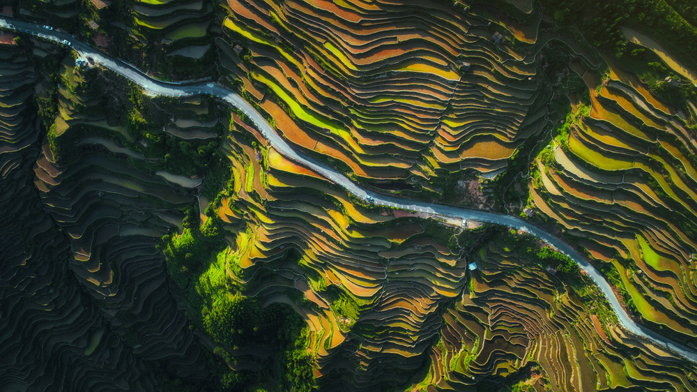 The way of terraced fields von TIANQI