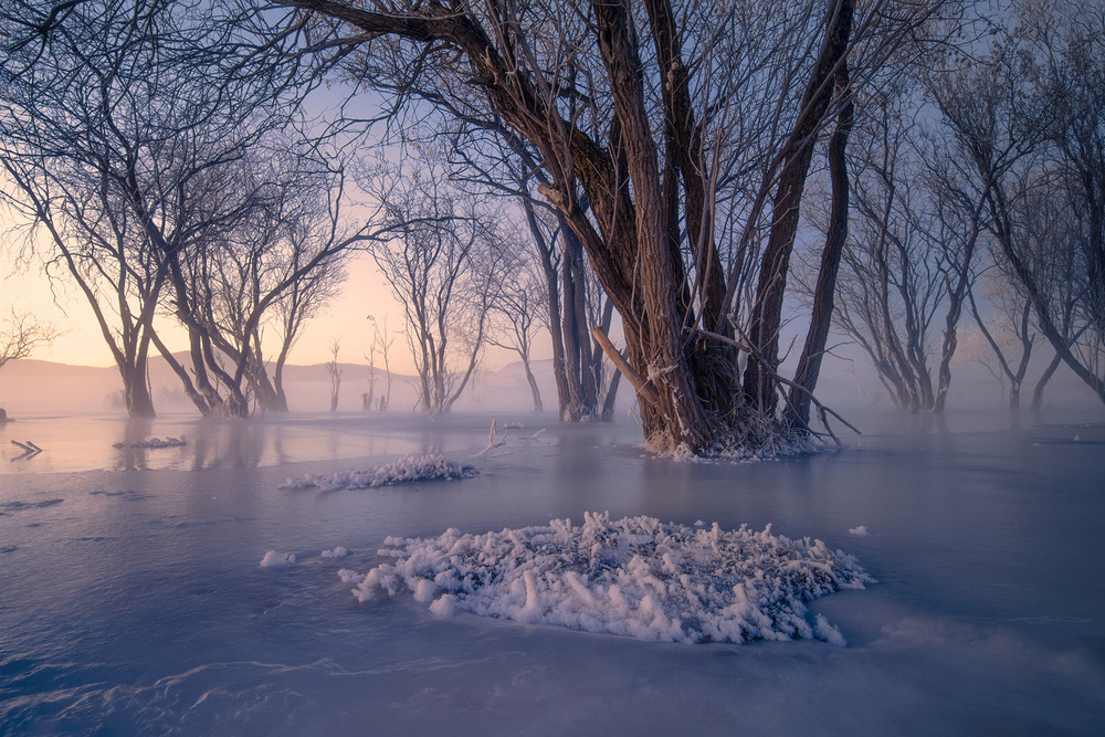 Secret Forest in Ice and Snow von TIANQI