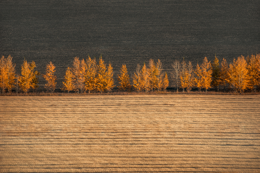 Autumn colors von TIANQI