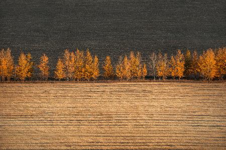 Autumn colors