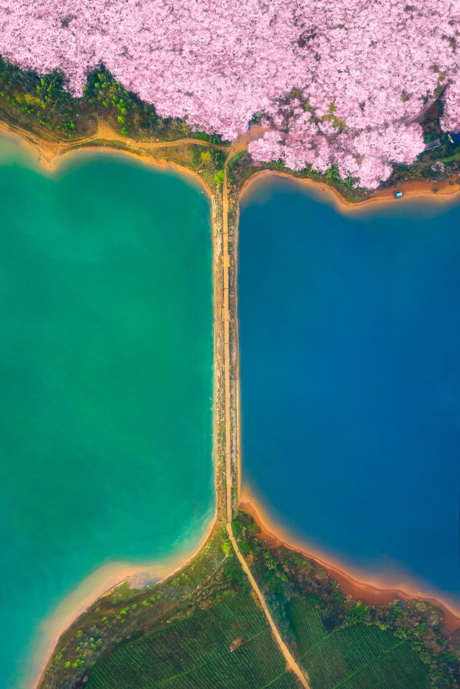 Cherry Garden, Guizhou Province von TIANQI