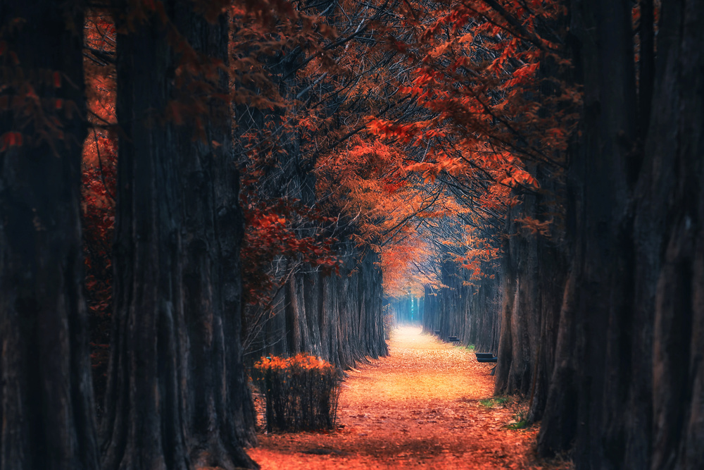 At the end of the road von Tiger Seo