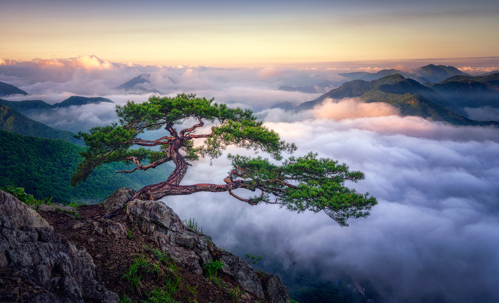 On the rock von Tiger Seo