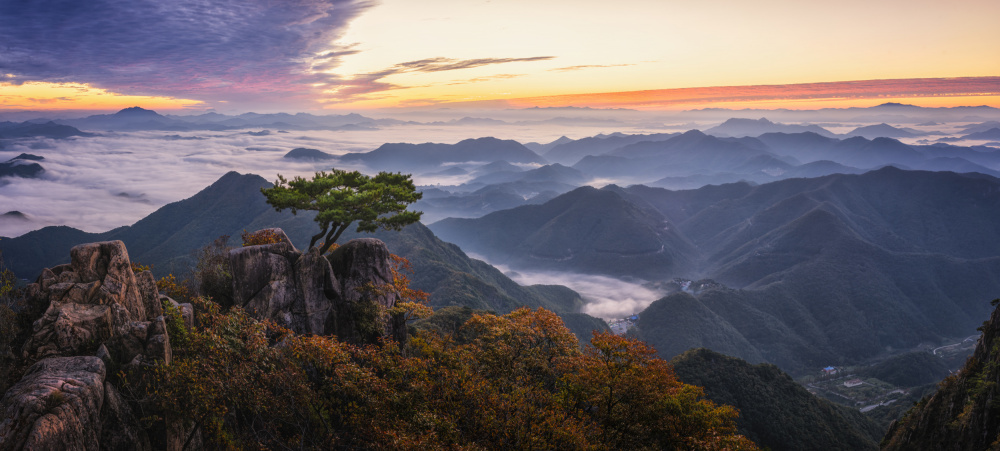 Tree on the Top von Tiger Seo