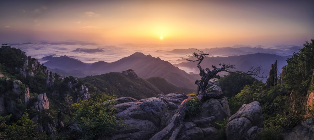 Mountain Top von Tiger Seo