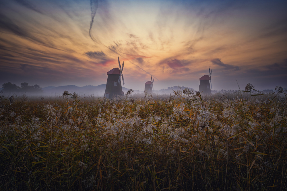 Before sun rise on Sorae von Tiger Seo