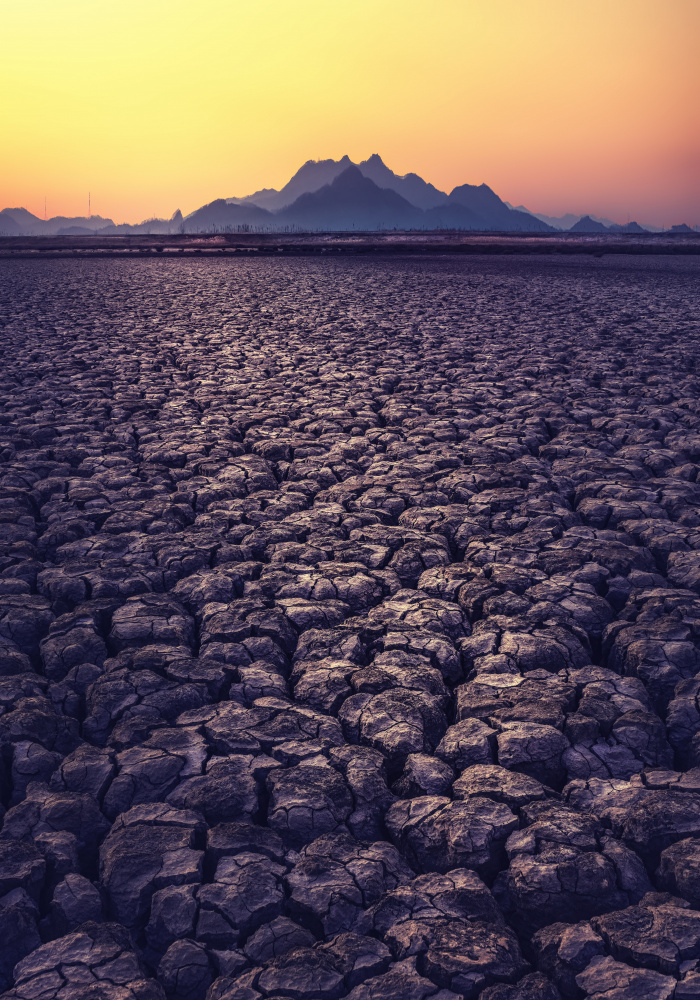 Thirst von Tiger Seo