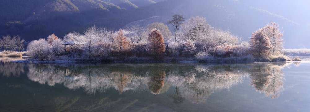 Ice Island von Tiger Seo