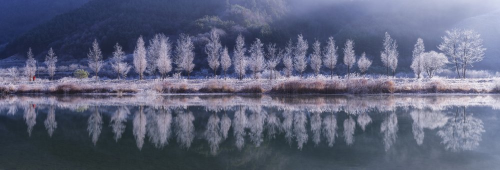 Cold morning von Tiger Seo