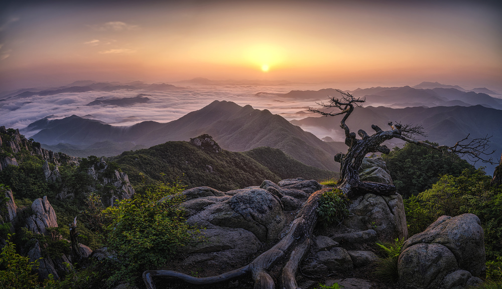 Sunrise on Top von Tiger Seo